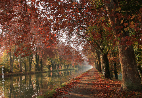 Canal du midi