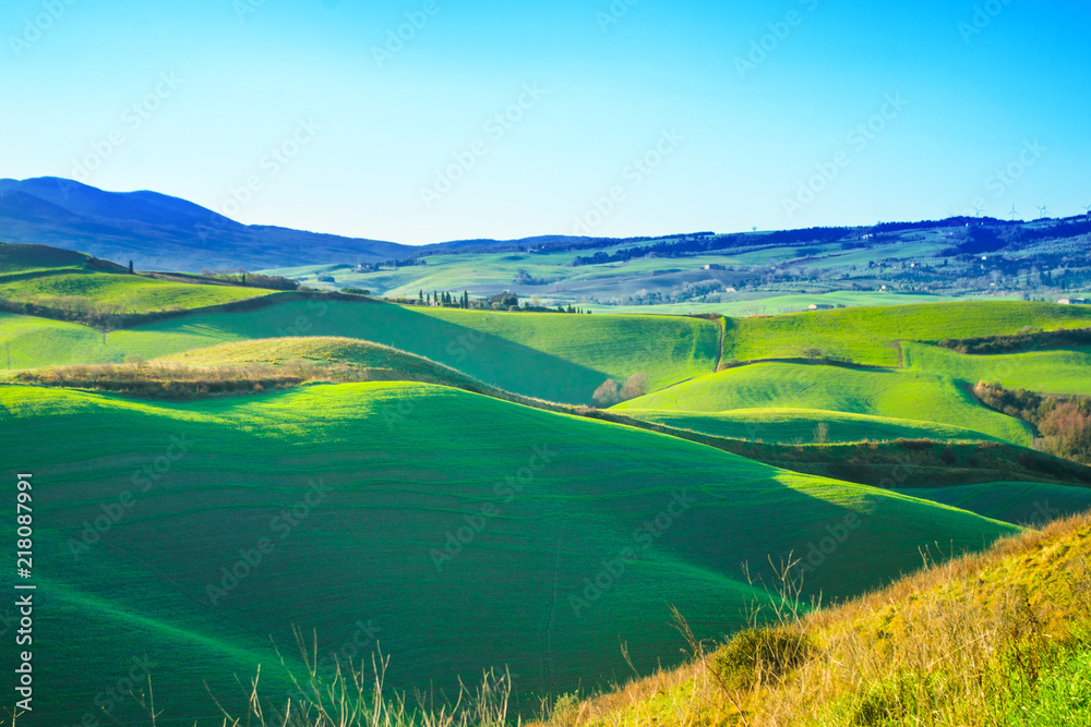 Tuscan landscape with trees and cultivated land