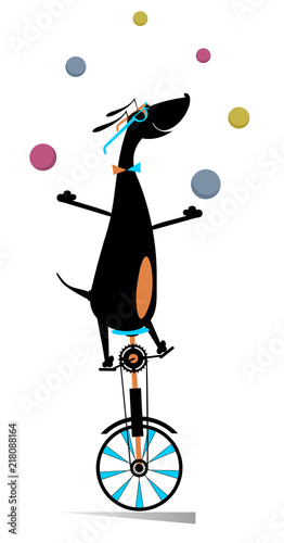 Funny dog rides on unicycle and juggles the balls illustration. Equilibrist dog rides on unicycle and juggles the balls isolated on white illustration
