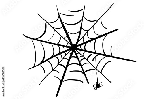 A spider on a web. Vector black and white illustration. Sketch on white background