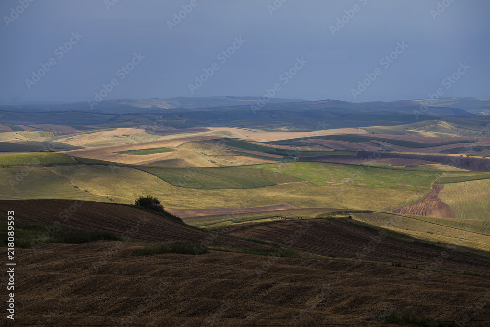 Obraz premium Summer fields