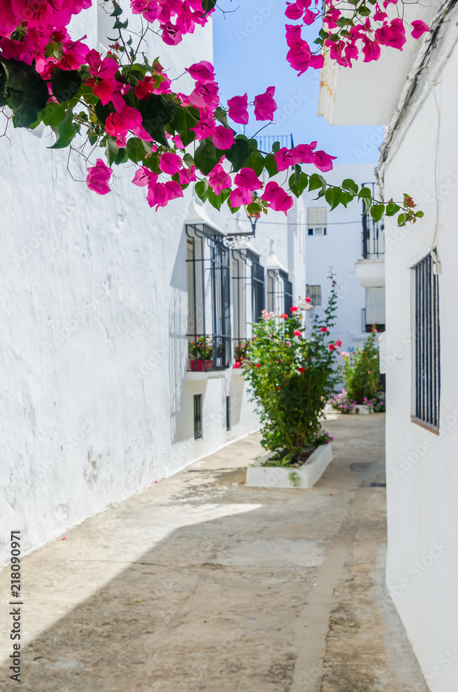 Fototapeta premium różowe kwiaty bugenwilli na ulicach Vejer de la Frontera