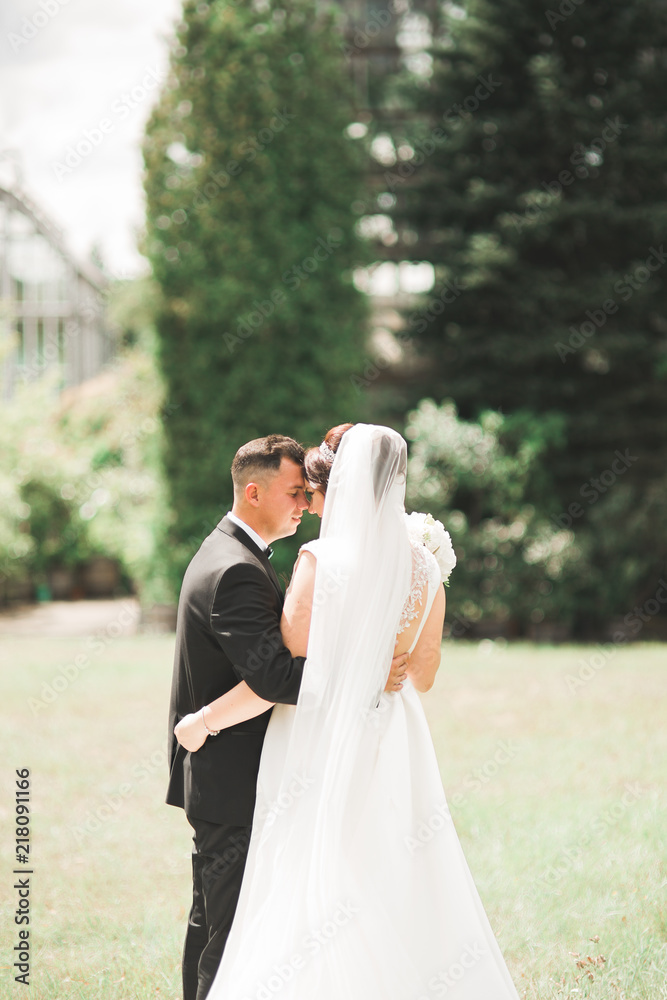 Wedding couple bride and groom holding hands Wedding couple bride and groom holding hands