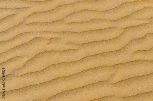 Sand in the desert dunes