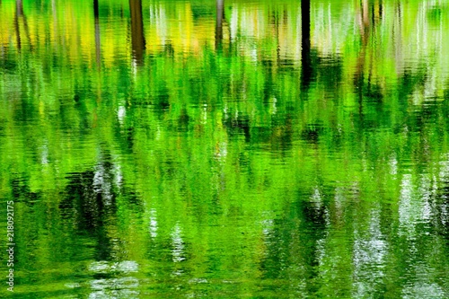 abstract reflection of tree on the water
