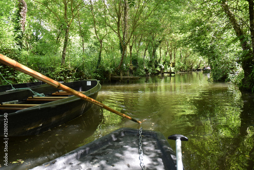 Marais poitevin : promenade en barque sur les canaux à Maillezais, Vendée, Pays de la Loire. photo