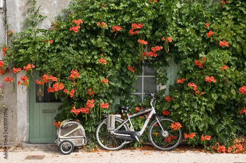 vélo transport île de ré écologique piste cyclable verdure maison fleur façade vacances temps tranquille lent vivre douceur remorque