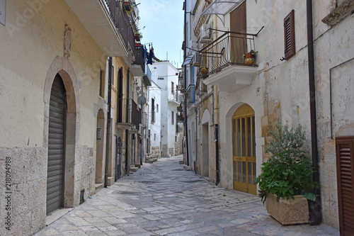 Italy, Puglia region, Altamura,  view and details of palaces, alleys, churches, doors, windows, balconies and various architecture of the historic center. © benny