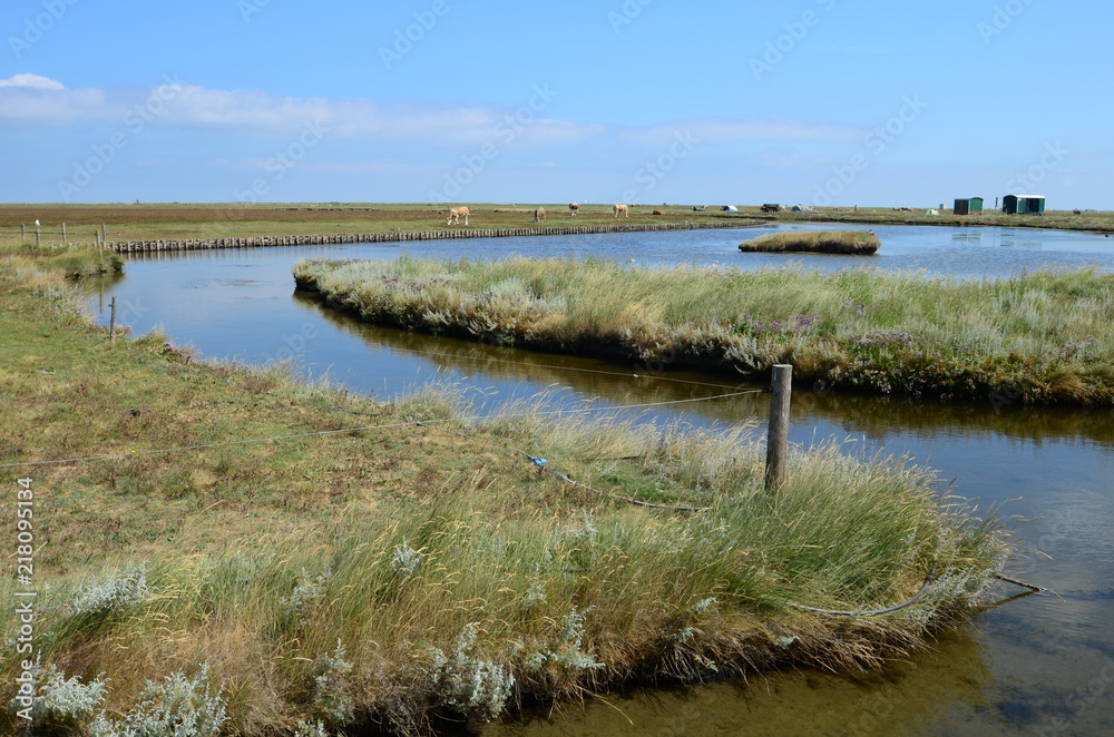 Hallig-Hooge