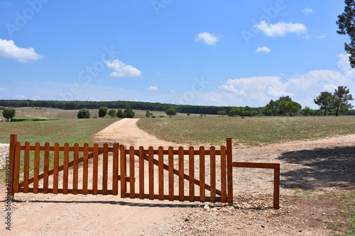 Fototapeta Naklejka Na Ścianę i Meble -  Italy, Puglia region, view and detail in the high Murgia area with wells, trees, meadows,