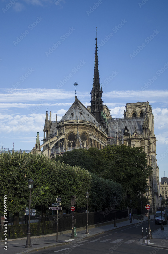 Cathedral of Notre Dame de Paris sunny autumn afternoon
