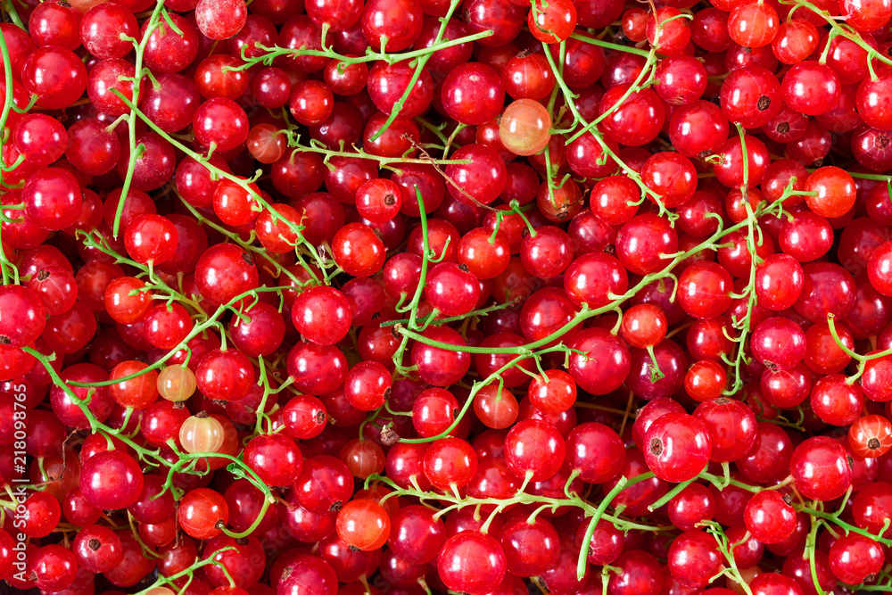 background of ripe juicy red currant berries background of ripe juicy red currant berries