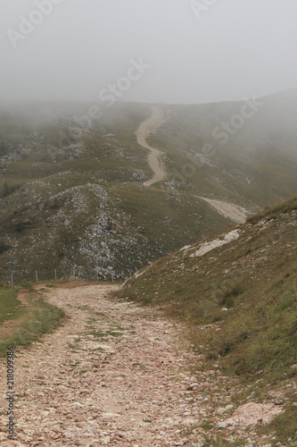Winding Trail Leads into Mist