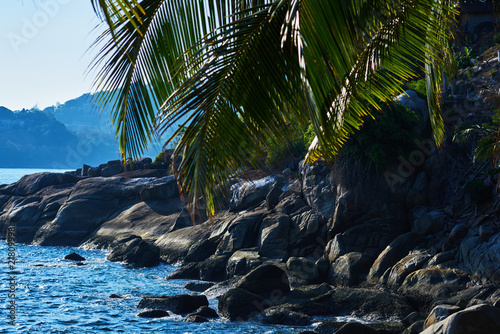 Looking through palm leaves at the coastline with black granite rocks  palm trees  blue water. Early morning at picturesque  tropical palm beach with large granitic boulders. Nature background..