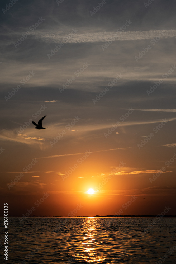 Sunset over the River with Bird