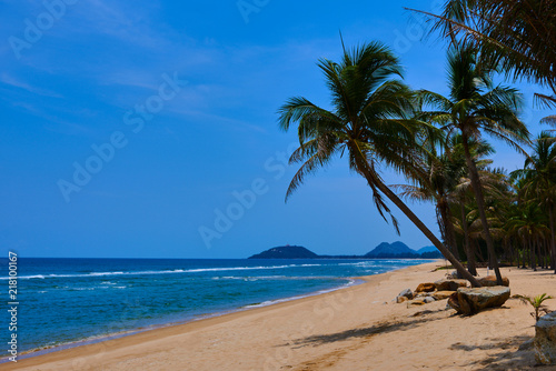 Landscape of paradise tropical island beach. Palm trees at tropical coast. Untouched tropical beach. Beautiful tropical golden sand beach and coconut palm trees. Holiday and vacation concept. © eskstock