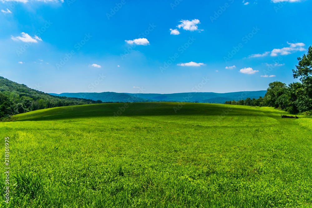Obraz premium green field in the mountains