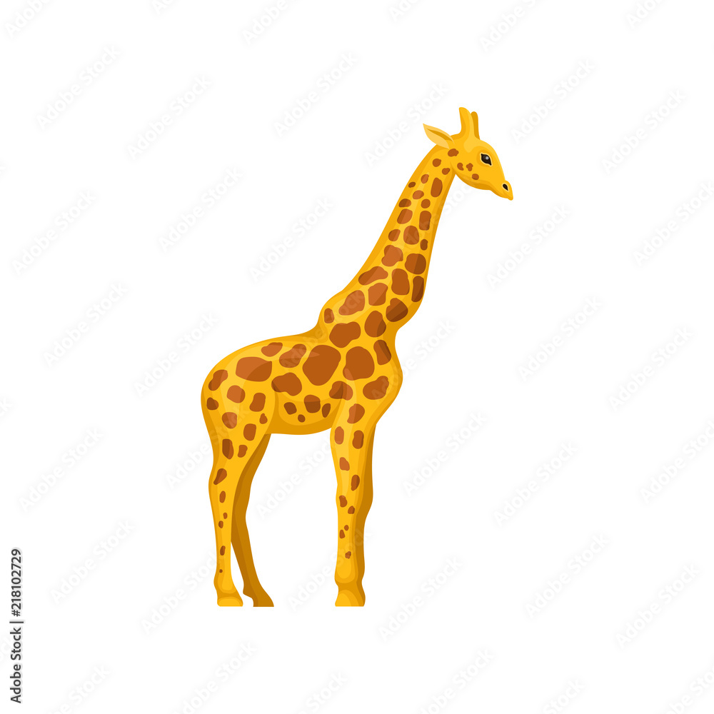 Giraffe, symbol of African savannah vector Illustration on a white background