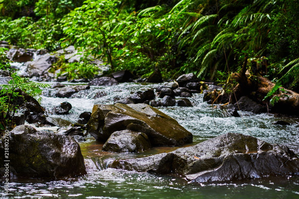 Close-up streams of water between mountain stones. Beautiful mountain river stream with fast flowing water and rocks. Flowing water in beautiful landscape. Picturesque rapids on the river. Close-up streams of water between mountain stones. Beautiful mountain river stream with fast flowing water and rocks. Flowing water in beautiful landscape. Picturesque rapids on the river.
