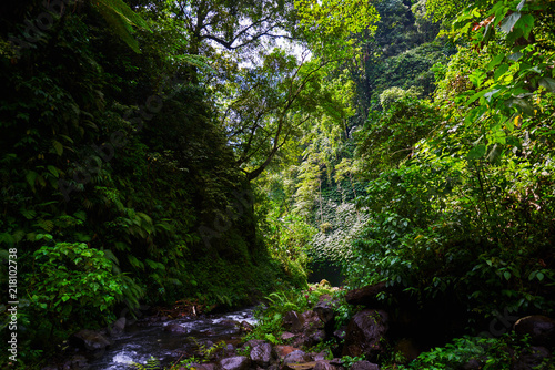 Amazing scenic view of a tropical forest with a river on a background of green trees in the morning sun. Mountain rainforest wate stream with fast flowing water and big stones. Travel concept.