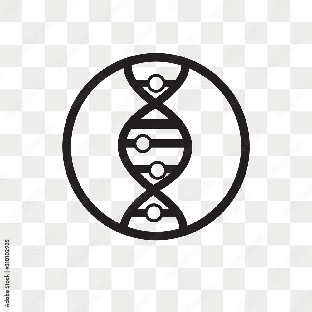DNA strand vector icon isolated on transparent background, DNA strand