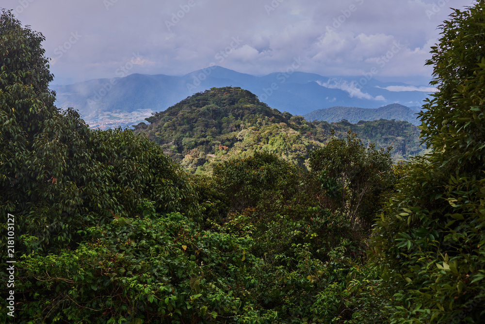 Obraz premium View on beautiful fog mountains in mist landscape. Travel background.