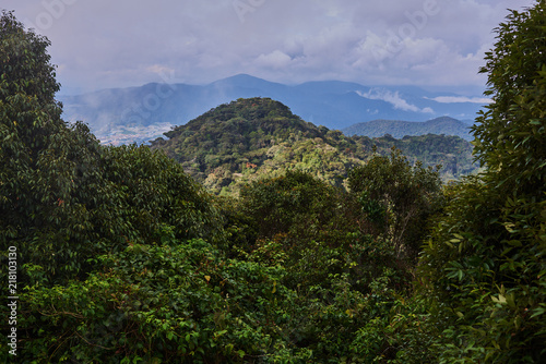 Amazing mountains with tropical fauna, green bushes and trees.