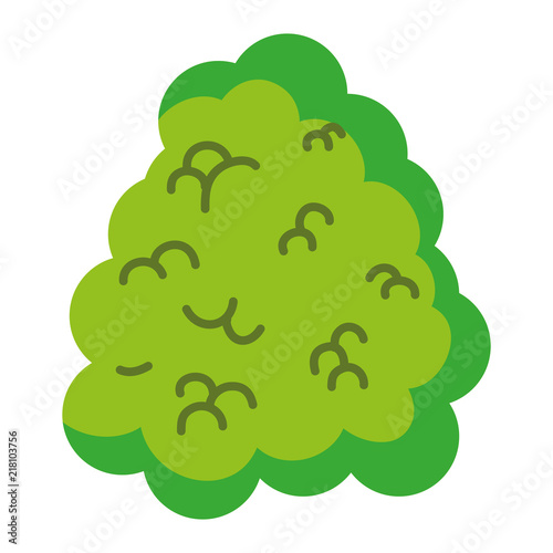 ecology bush leaves nature plant