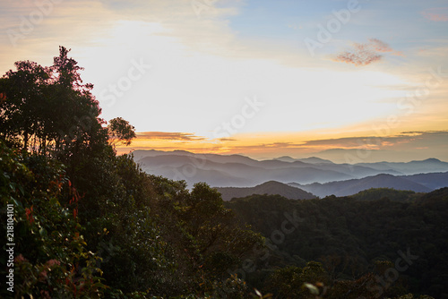 Colorful clouds of mist hovering low between green trees in the forest early morning. .Summer landscape. Fluffy clouds in the blue sky over the mountain valley illuminated by the rising sun..