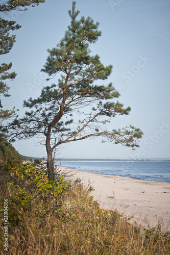Fototapeta Naklejka Na Ścianę i Meble -  Wybrzeże Bałtyku