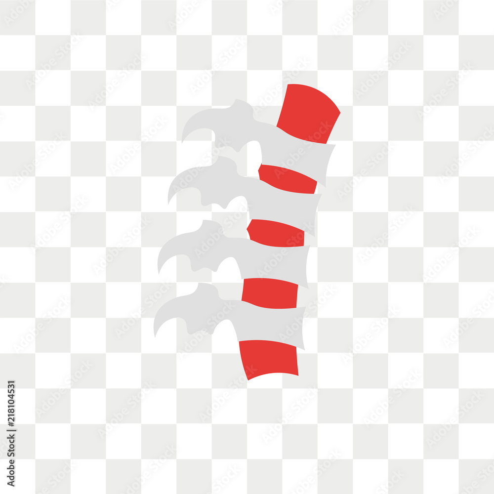 Spinal cord vector icon isolated on transparent background, Spinal cord ...