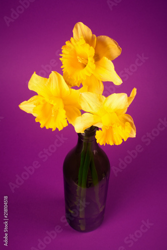 Fototapeta Naklejka Na Ścianę i Meble -  daffodils in vase