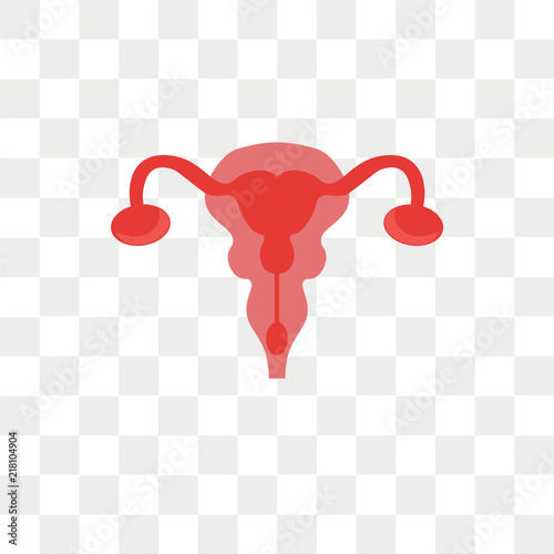 Uterus vector icon isolated on transparent background, Uterus logo design