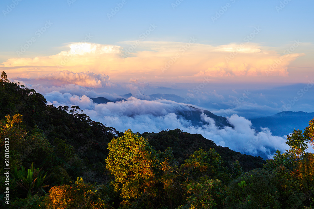 Landscape with peaks covered by fog and colorful clouds hovering low over green treetops in the early morning. Fluffy clouds in the blue sky over the mountain valley illuminated by the rising sun. Landscape with peaks covered by fog and colorful clouds hovering low over green treetops in the early morning. Fluffy clouds in the blue sky over the mountain valley illuminated by the rising sun.