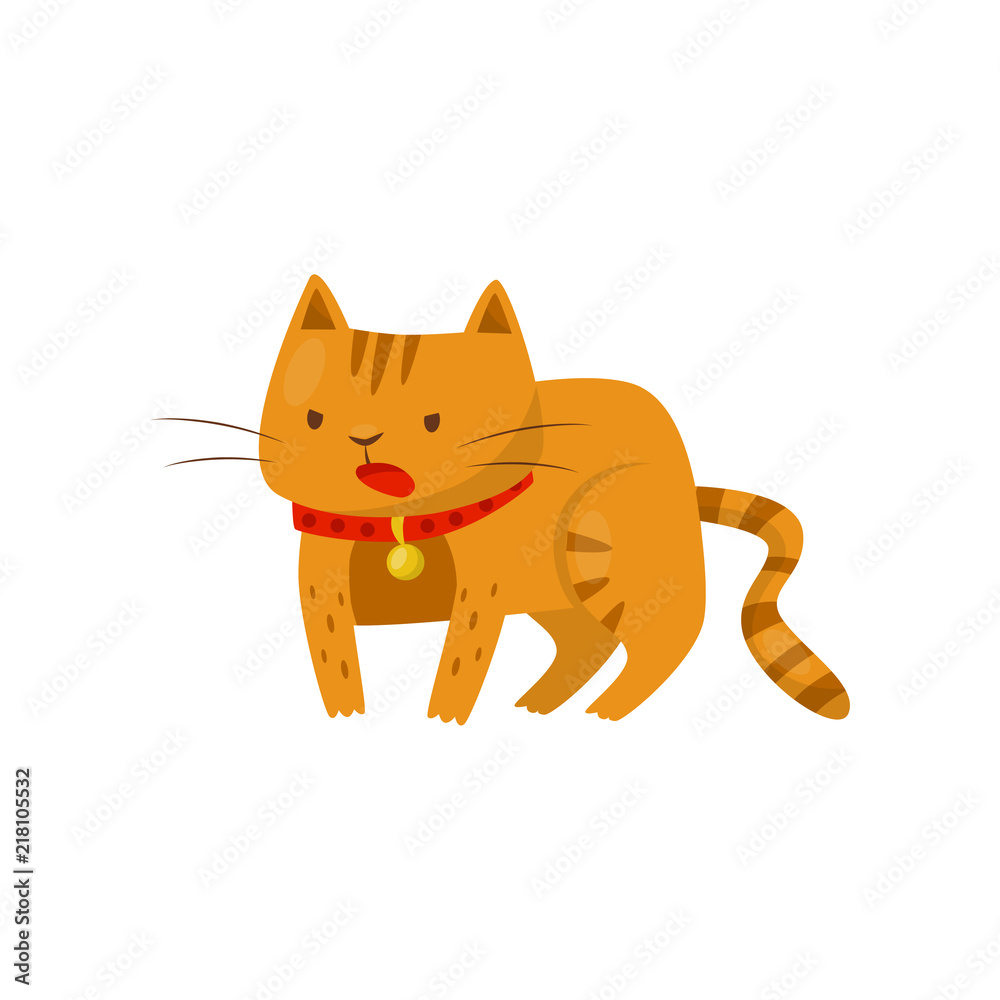 Funny angry cat cute domestic pet animal cartoon Vector Image