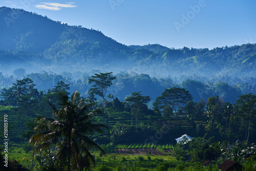 Beautiful misty morning. View of hut and green terraced rice field with mist on early morning. Rice fields  grass fields  grasses   palm trees and white mist in the morning. Beautiful atmosphere.