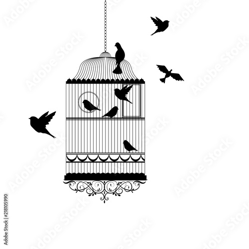 bird cage with birds flying vector illustration