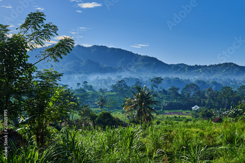 Beautiful misty morning. View of hut and green terraced rice field with mist on early morning. Rice fields, grass fields, grasses, palm trees and white mist in the morning. Beautiful atmosphere.