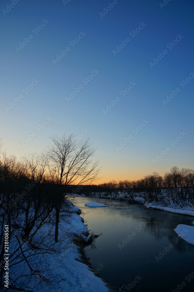 Cranes in River at Sunrise