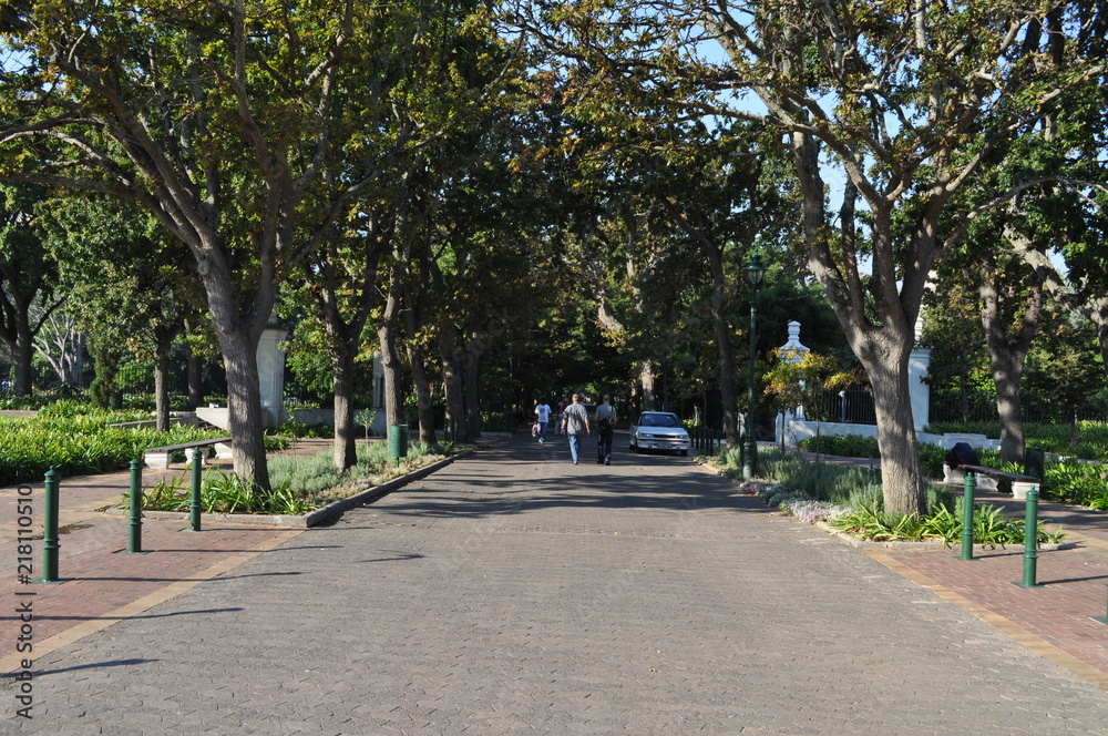 Cape Town Company Gardens path view with trees