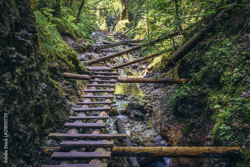 Ladder on Sucha Bela hiking trail in park called Slovak Paradise  Slovakia