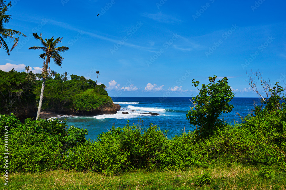 Beautiful and wild lonely beach with rough granite rocks and palm trees in a jungle and turquoise water of the Indian ocean. Wild nature. View from the tropical plants to a beach with blue sky.