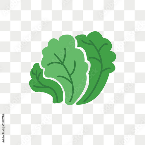 Salad vector icon isolated on transparent background, Salad logo design