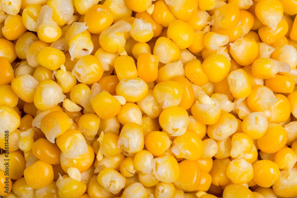 Culinary background from boiled maize grains. Close-up of a beautiful yellow heap of sweet corn seeds in a decorative textured pattern. Tasty organic vegetable. Healthy vegetarian and vegan food. Culinary background from boiled maize grains. Close-up of a beautiful yellow heap of sweet corn seeds in a decorative textured pattern. Tasty organic vegetable. Healthy vegetarian and vegan food.