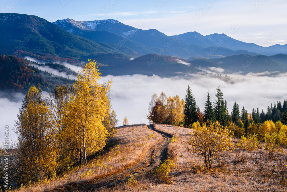 Autumn landscape in the mountains