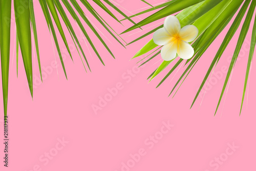 Minimal background with green palm leaves and flower on pink pastel. Minimal concept idea with copy space