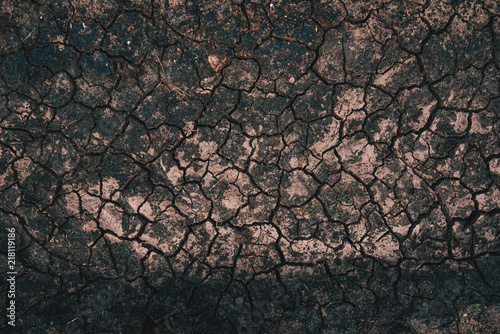 Cracked mud texture top view © Bits and Splits