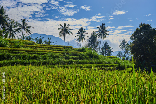 Beautiful of green valley with rice terraces. Organic paddy fields. High mountain landscape with rice field and rural villages. Blue sky and low clouds. Scenic farmland. Landscape nature background.