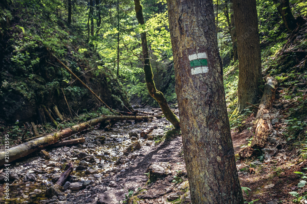 Hiking trail called Sucha Bela in Slovak Paradise, Slovakia Hiking trail called Sucha Bela in Slovak Paradise, Slovakia