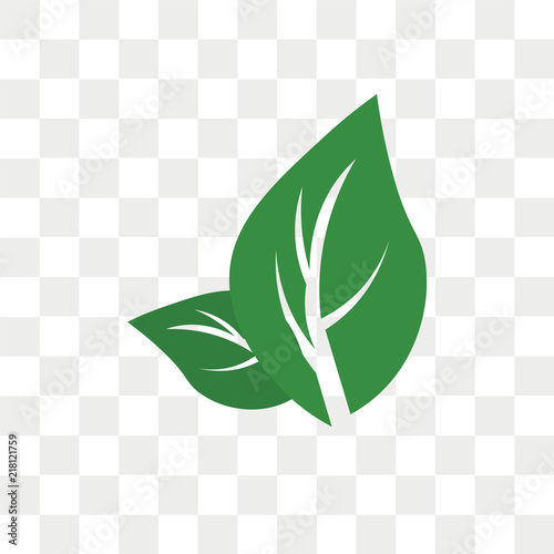 Leaf vector icon isolated on transparent background, Leaf logo design